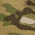 Panneau de commande Warrior Elite Ops, Multicam, Gen 2
