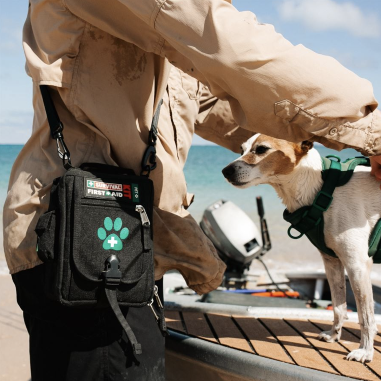 First Aid Kit Pet pour voyager avec un chien, Survival