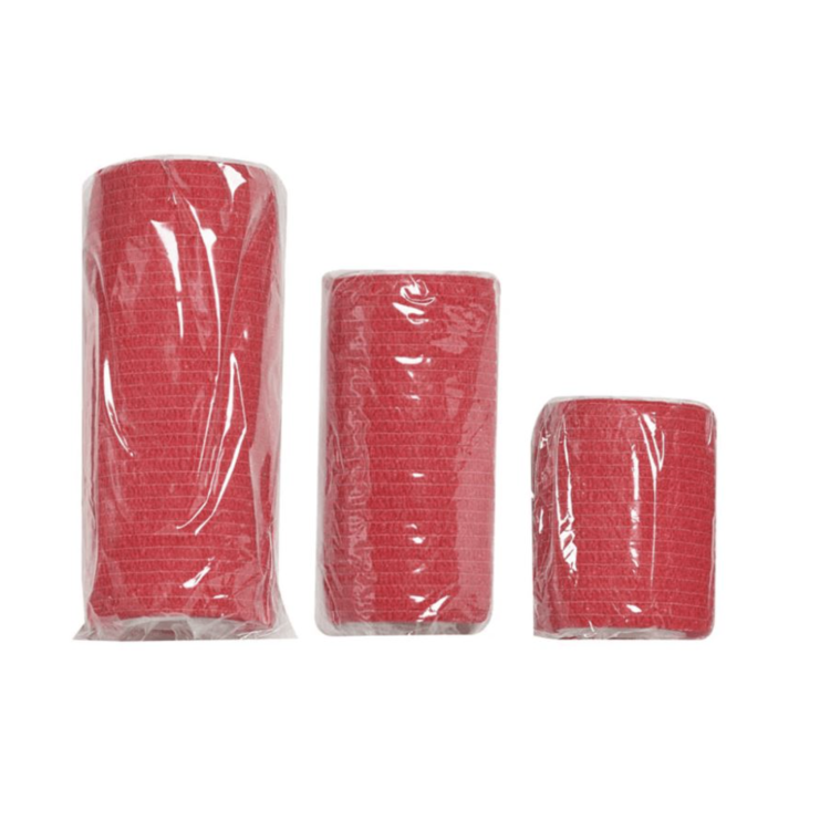 First Aid Kit Pet pour voyager avec un chien, Survival